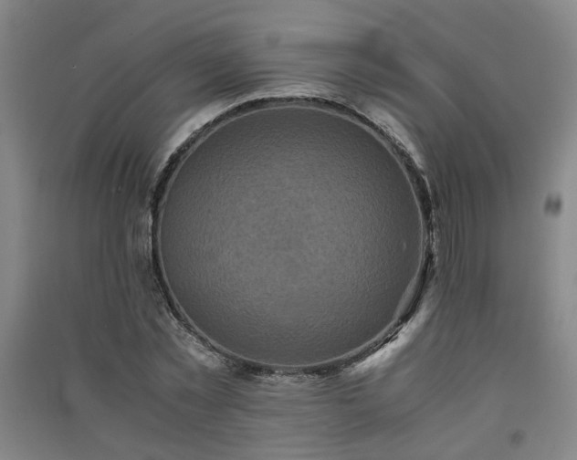 X0000091550781200708171305