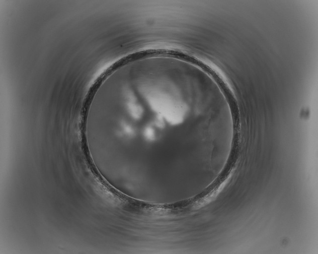 X0000091550783200708171304