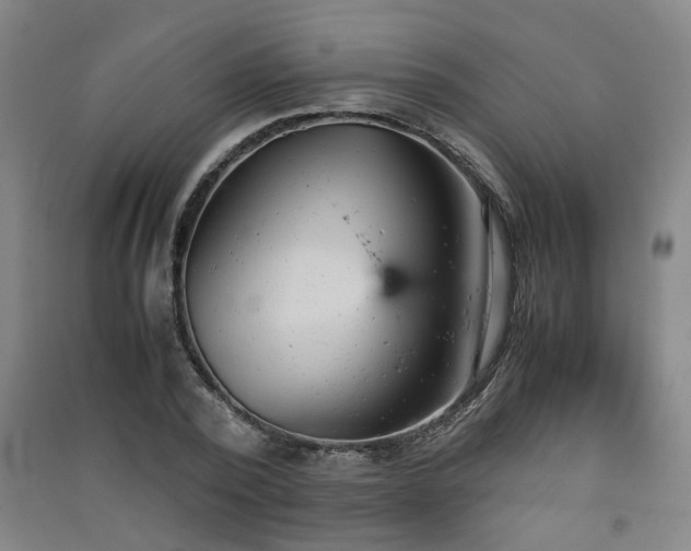 X0000091550784200708171304
