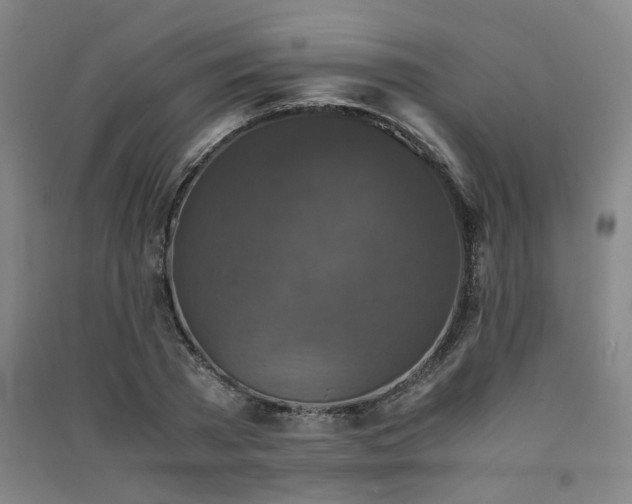 X0000091550785200708171304