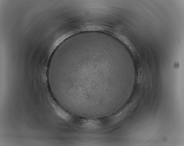 X0000091550786200708171304