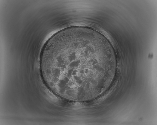 X0000091550787200708171304