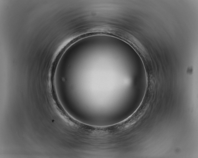 X0000091550788200708171304