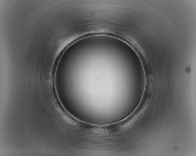 X0000091550789200708171304