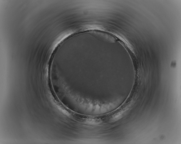 X0000091550790200708171304