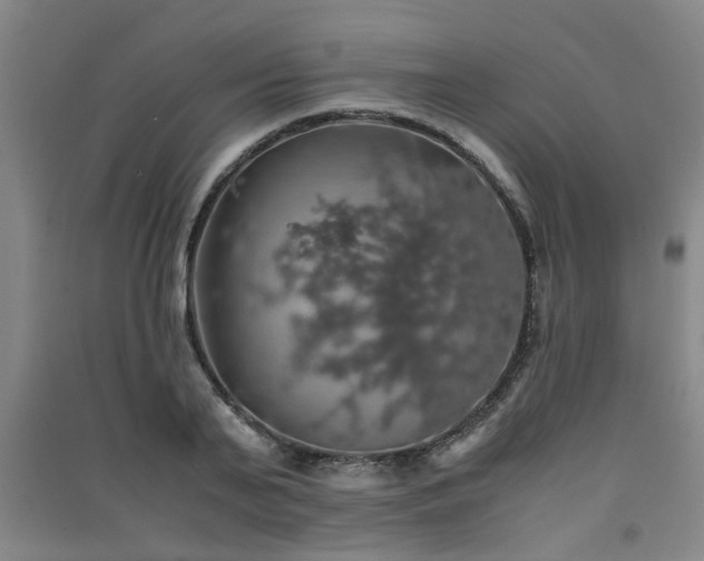 X0000091550791200708171304