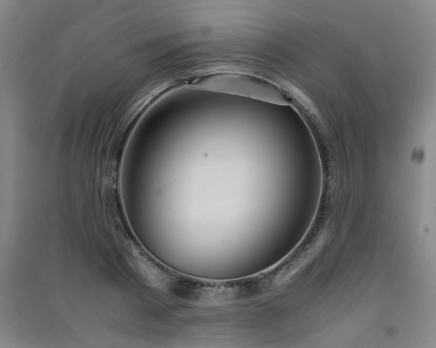 X0000091550793200708171304