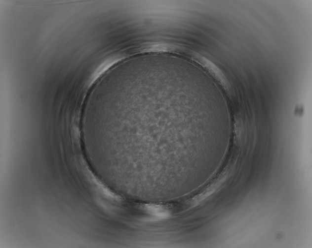 X0000091550794200708171304