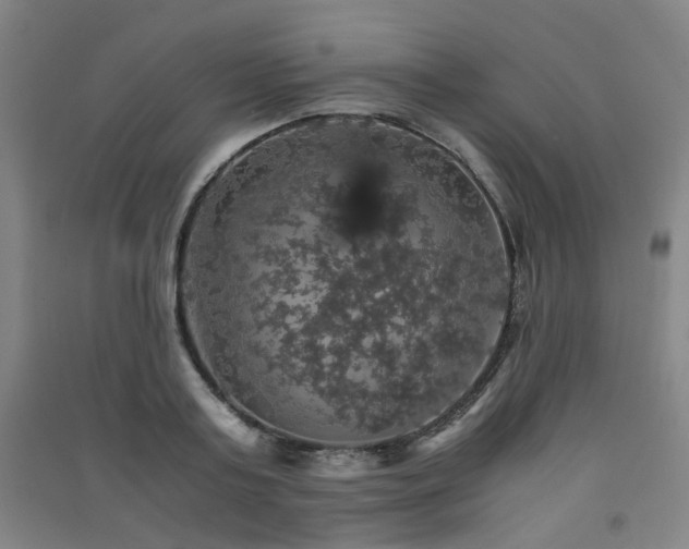 X0000091550795200708171304
