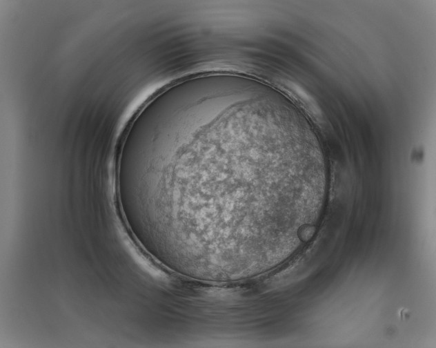 X0000091550796200708171304