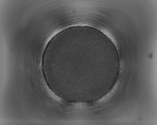 X0000091550797200708171304