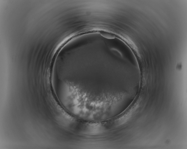 X0000091550798200708171304