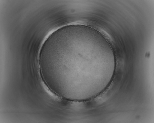X0000091550800200708171304