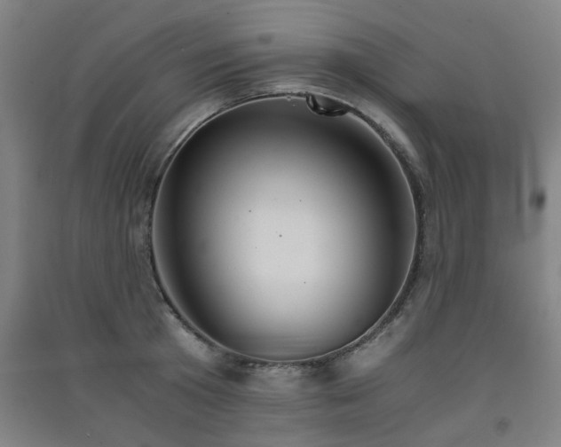 X0000091550801200708171304