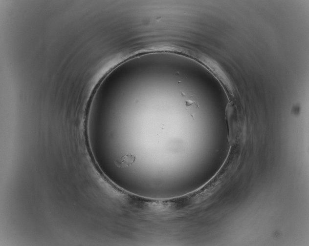 X0000091550805200708171304