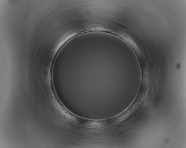 X0000091550806200708171304