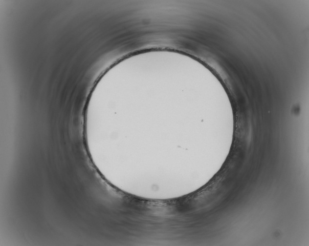 X0000091550807200708171304