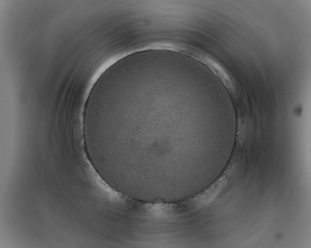 X0000091550808200708171304