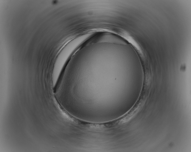 X0000091550809200708171304