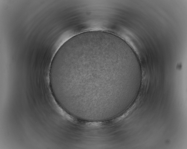 X0000091550810200708171304
