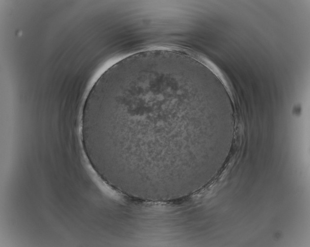 X0000091550811200708171304