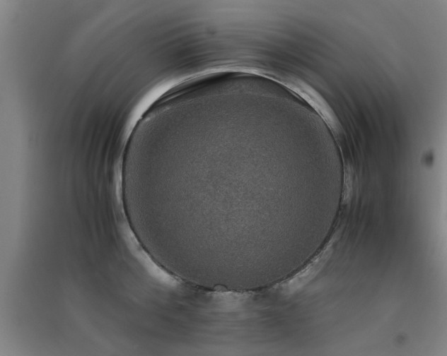 X0000091550812200708171304