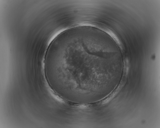 X0000091550814200708171304