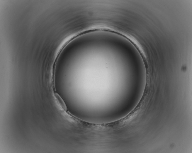 X0000091550815200708171304