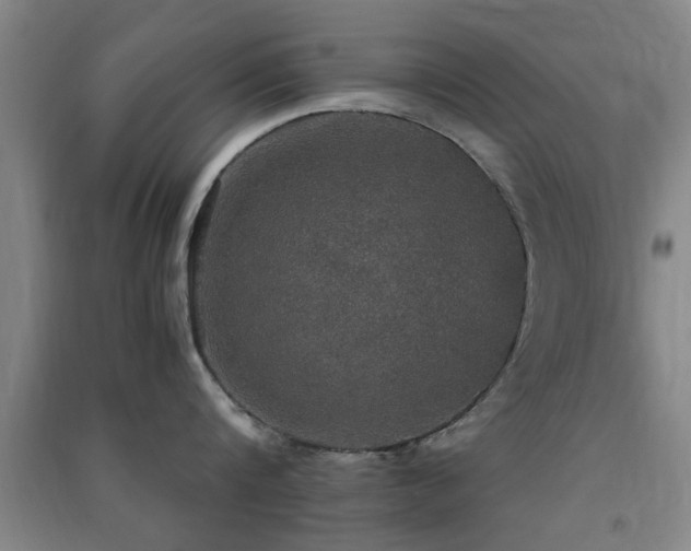X0000091550816200708171304