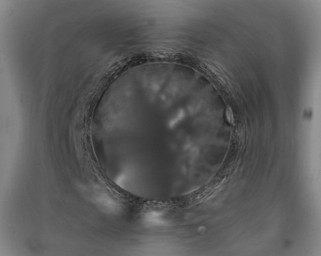 X0000091550817200708171303