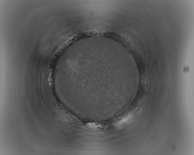 X0000091550818200708171303