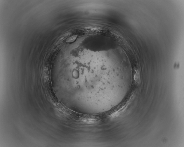 X0000091550819200708171304