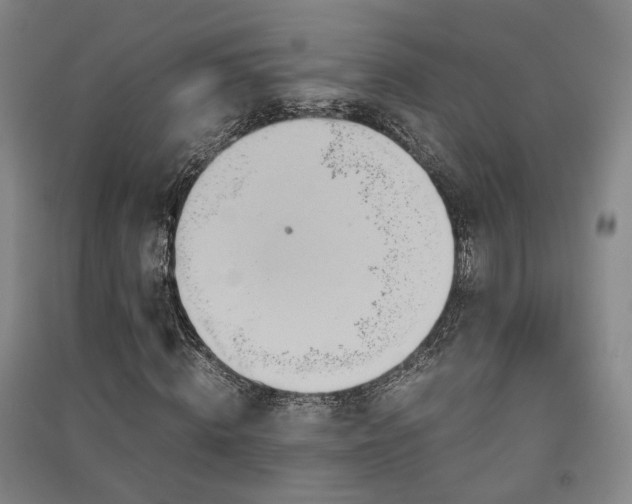 X0000091550820200708171304