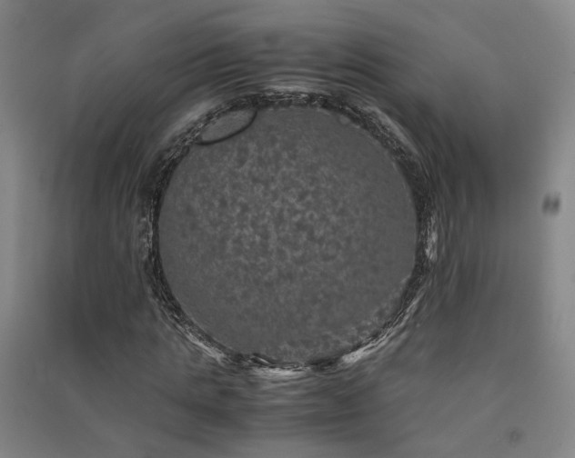 X0000091550821200708171304
