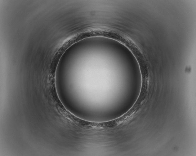 X0000091550822200708171304