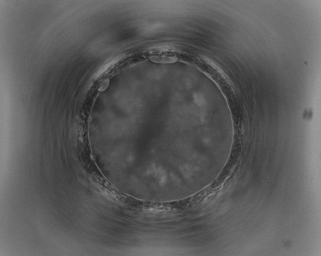 X0000091550823200708171304