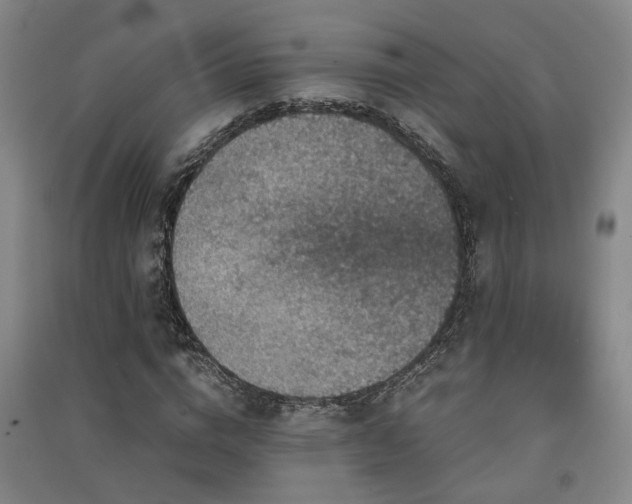 X0000091550824200708171304