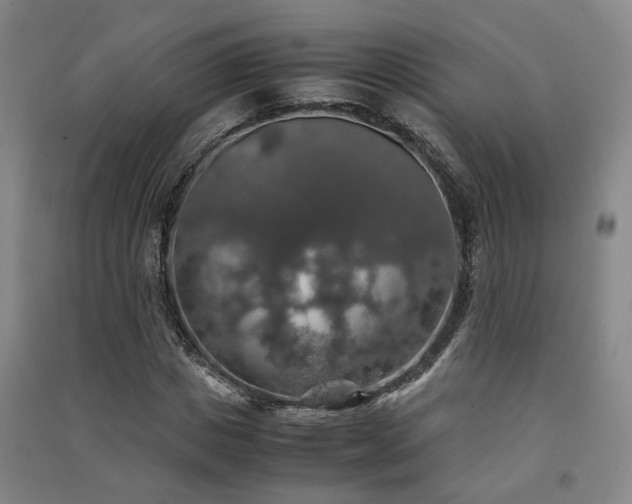 X0000091550825200708171304