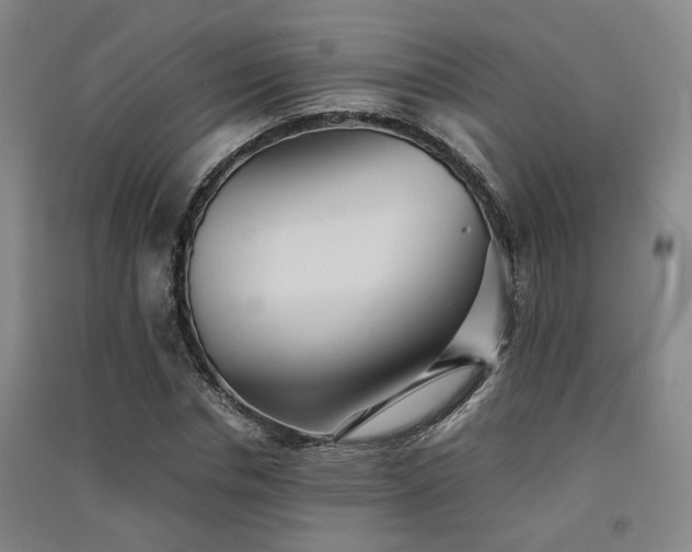 X0000091550826200708171304