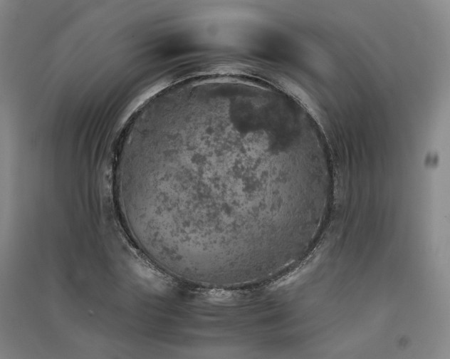 X0000091550827200708171304