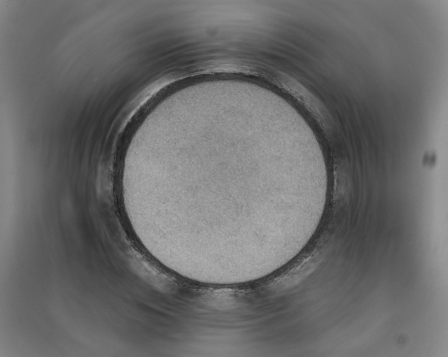 X0000091550828200708171304