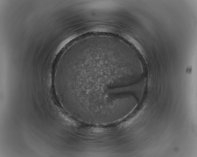 X0000091550829200708171304