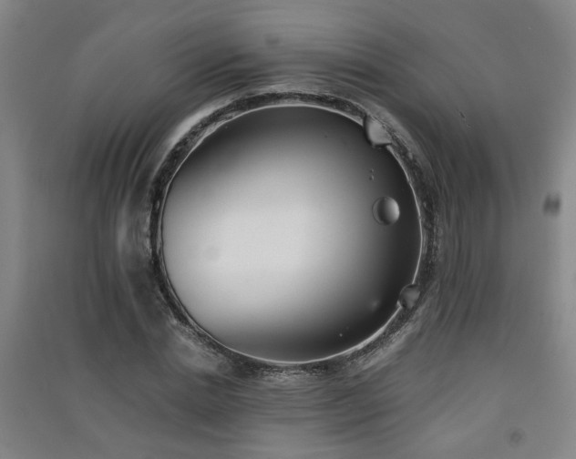 X0000091550830200708171304