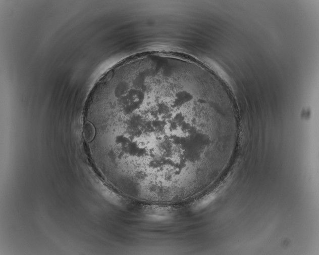 X0000091550831200708171304