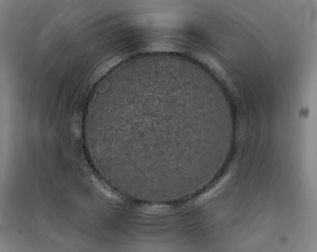 X0000091550833200708171304