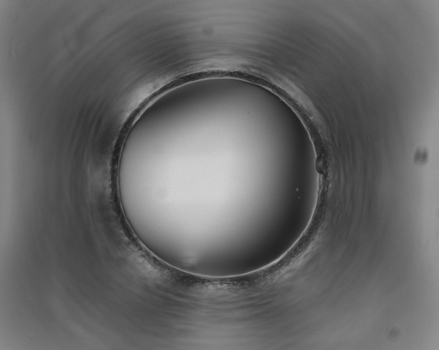 X0000091550834200708171304