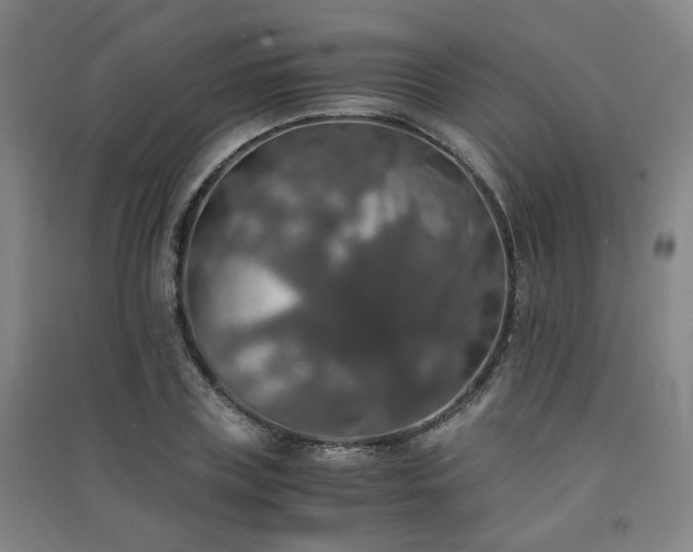 X0000091550835200708171304