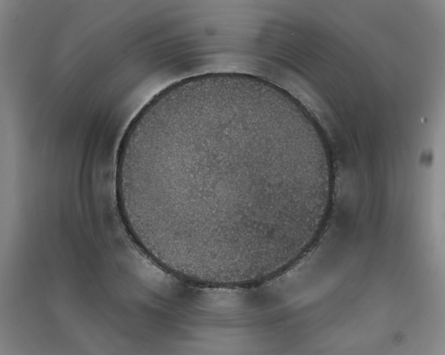 X0000091550836200708171304