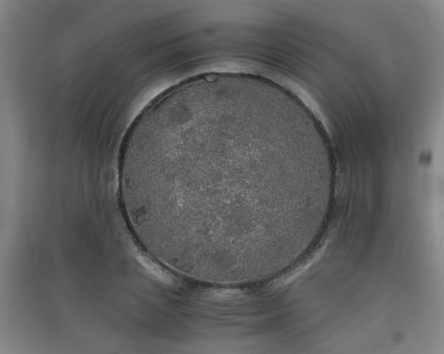 X0000091550837200708171304