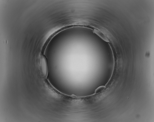 X0000091550838200708171304